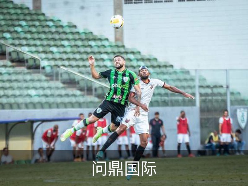 问鼎国际品牌故事